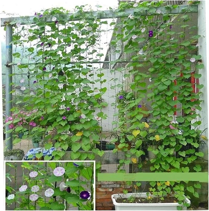1Pcs 180cmx360cm Green Plant Climbing Netting Nylon Plant Trellis for Garden Vine Climbing Vegetable Loofah Flowers Growing (Color : Green Size : 90 X 180cm(Nylon))