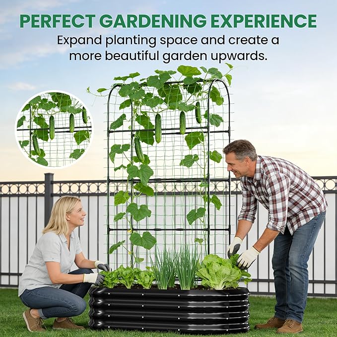 SUNYRISY 2Pack Galvanized Raised Garden Bed with 71in Arch Trellis for Climbing Plants Outdoor Planter Box with Climbing Net for Gardening Flowers Vegetables Fruits Herbs Black