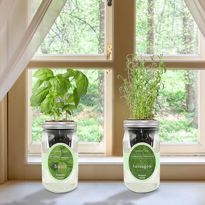 2-Pack Hydroponic Mason Jar Herb Garden Kit Indoor Herb Garden Self-Watering Starter Kit (BasilTarragon)
