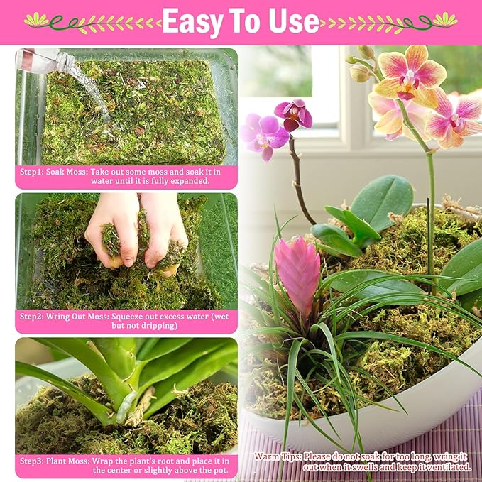 Riare 4.4LBS Premium Sphagnum Moss for Plants- 80QT Natural Dried Plant Moss for Potted Plants Orchid Moss for Repotting Soft Green Decorative Moss for Succulents Reptiles &amp DIY Crafts