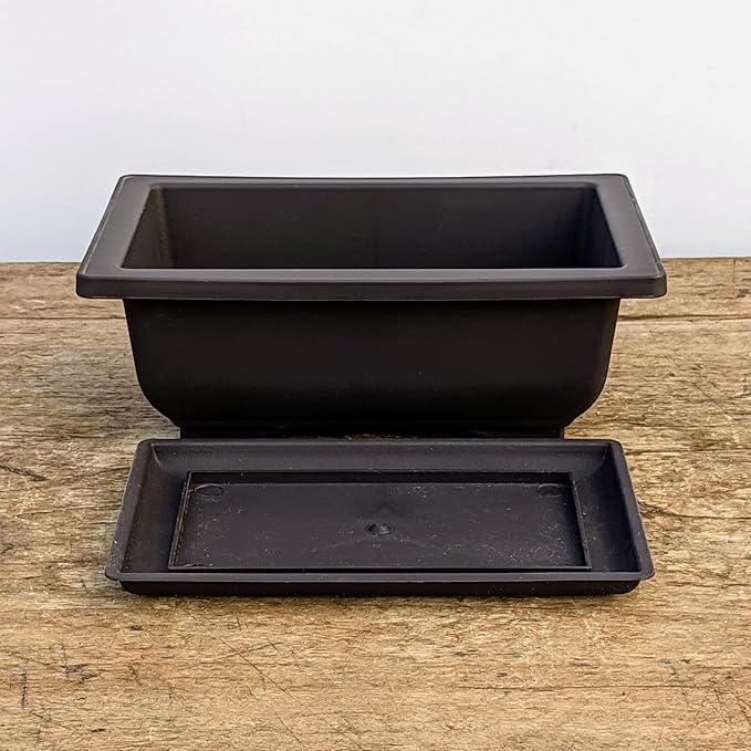 Tinyroots Bonsai Soil Plus a Three Pack of Six-Inch Training Bonsai Pots