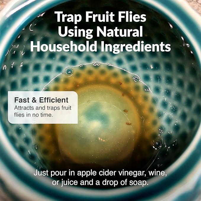 Elevated Lifestyle Fruit Fly Jar Trap - Decorative and Effective Ceramic Fruit Fly Catcher Kid and Pet Friendly Fly Trap Indoor Ideal for Kitchens Restaurants and Homes - (Marbled Turquoise)