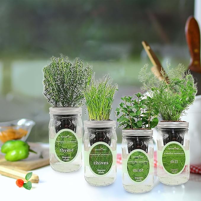 Hydroponic Herb Growing Kit Set Self-Watering Mason Jar Herb Garden Starter Kit Indoor New Christmas Gift for Mom (MintThymeChives&ampDill)
