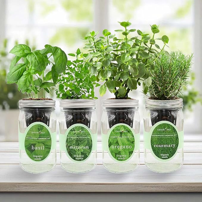 Hydroponic Mason Jar Indoor Garden Organic Seed Starter Kits - Italian Herb Blend Growing Kits Windowsill Herb Garden Gardening Gift (Basil Marjoram Oregano Rosemary)
