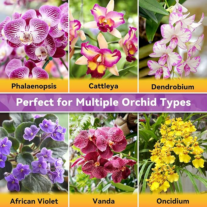 Riare 6QT Orchid Potting Mix Natural Orchid Bark Potting Mix Soil Medium with Pine Bark and Perlite Premium Orchid Repotting Kit for Phalaenopsis Dendrobiums Enhanced Drainage &amp Root Expansion