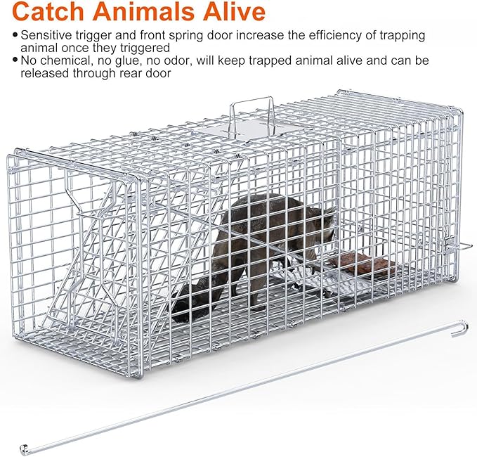 Humane Live Animal Trap 37x14x15inch Large Folding Animal Traps Cage for Raccoons Stray Dogs Armadillos Foxes Coyotes Bobcat Easy to Set &amp Release Live Trap