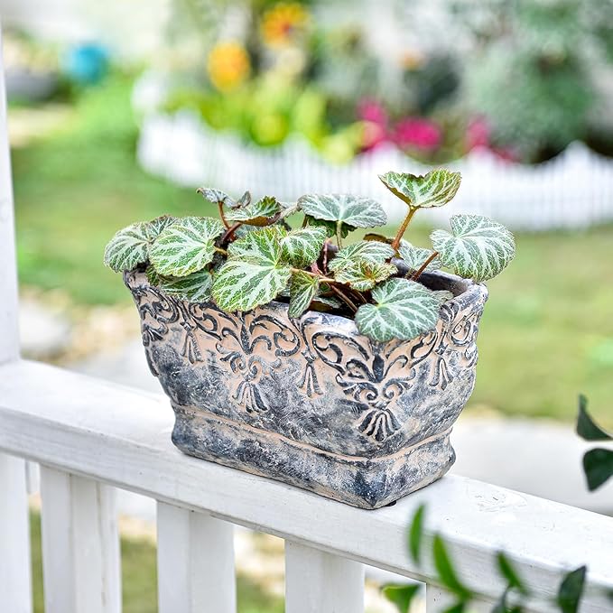 Sungmor 9.2 Inch Cement Plant Pot for Plants Succulent Planter with Embossed Design Vintage Concrete Flowerpots with Drainage Hole Decorative Orchid Houseplant Pot Indoor Outdoor Plant Container