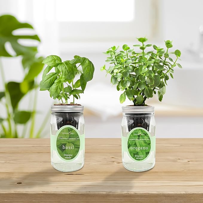 2-Pack Hydroponic Mason Jar Herb Garden Kit Indoor Herb Garden Self-Watering Starter Kit (BasilOregano)