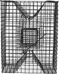 Joy Fish Pinfish Trap Made with Coated Wire mesh Heavy Duty Two Entrance. Meet Regulation in USA black