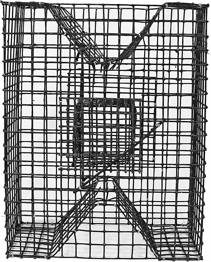 Joy Fish Pinfish Trap Made with Coated Wire mesh Heavy Duty Two Entrance. Meet Regulation in USA black