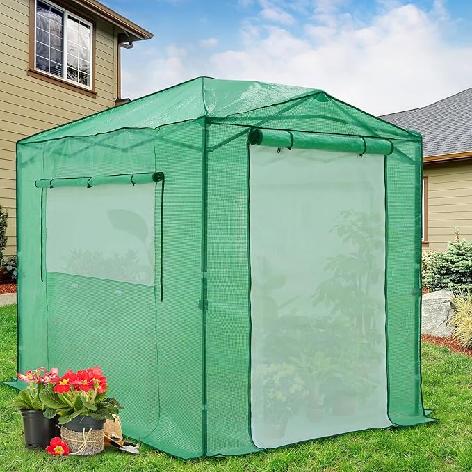 EAGLE PEAK 8x6 Portable Walk in Greenhouse Pop Up Indoor Outdoor Greenhouse Green House Kit with Zippered Roll-Up Doors and Windows + Mesh Lined Door PE Cover Clear/Green