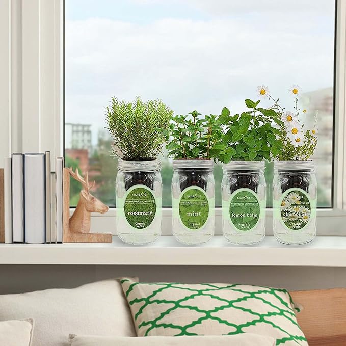 Hydroponic Mason Jar Organic Herbal Tea Seed Starter Kits - Herbal Tea Garden Growing Kits Gardening Gift Grow Your Own Herbal Teas Indoor (Chamomile Mint Lemon Balm Rosemary)