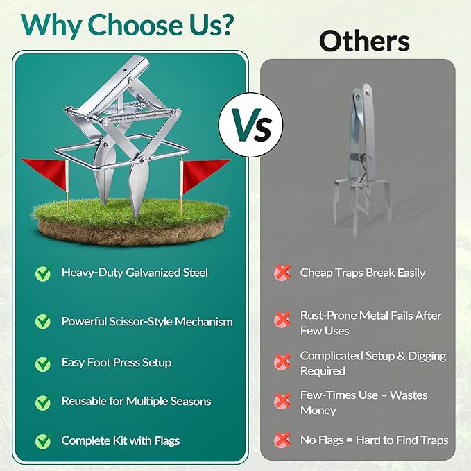 2 PCs Mole Traps Scissors Reusable Silver Galvanized Steel Scissor Trap for Outdoor Lawn Use &amp Garden Easy to Use Design Ensures Quick Capture of Moles Gophers