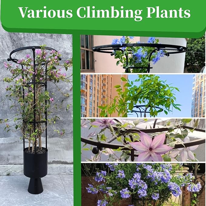 Garden Trellis for Climbing Plants Vertical Umbrella Trellis 3/3.9/4.9/5.9/6.9ft Sturdy Plant Support for Flowers Vegetable Fruits Vines Indoor Outdoor(WhiteHeight: 120cm/3.9ft)