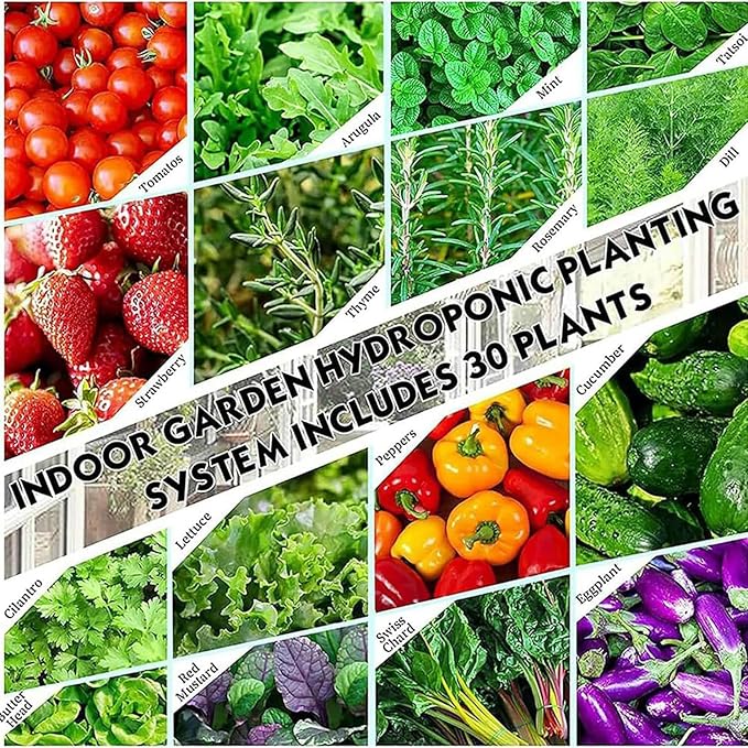 Garden Hydroponic Growing System 15/20/25/30 Pods Hydroponics Tower Aeroponics Grow Kit Aquaponics Planting System Herbs Fruits and Vegetable 30Holes//1pc