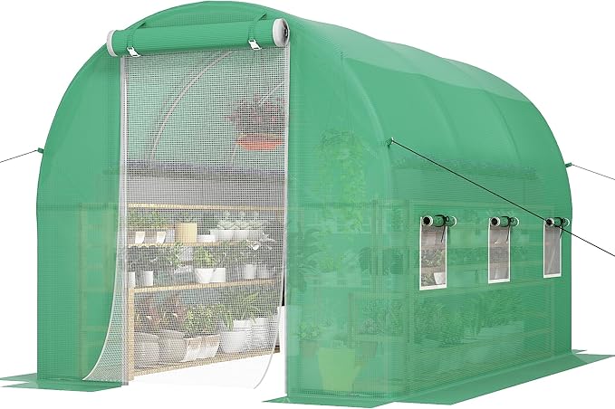 DWVO 10x6.5x6.5ft Greenhouse Large Walk-in Green House Tunnel Greenhouses Outdoor Portable Plant Gardening Upgraded Galvanized Steel Frame Zipper Doors 5 Crossbars Garden Green