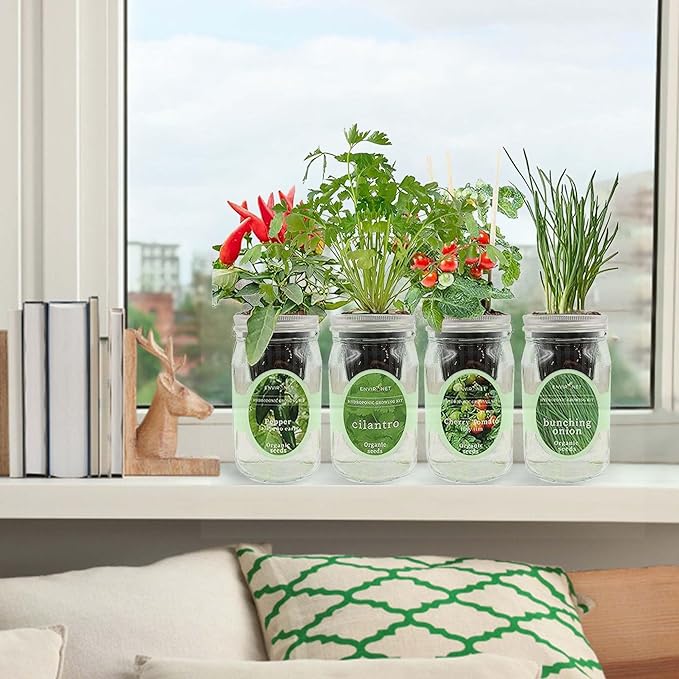 Hydroponic Mason Jar Indoor Garden Organic Seed Starter Kits - Zesty Salsa Growing Kits Gardening Gift (Jalapeno Pepper Cilantro Cherry Tomato - Tiny Tim Bunching Onion)