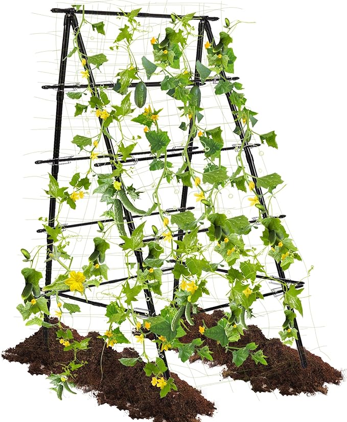HPC Decor Cucumber Trellis for Raised Bed 6 FT Tall Garden Trellis for Climbing Plant Outdoor Metal A Frame Trellis with Climbing Net Support for Vegetable Grape Tomato Peas Fruit Vine.