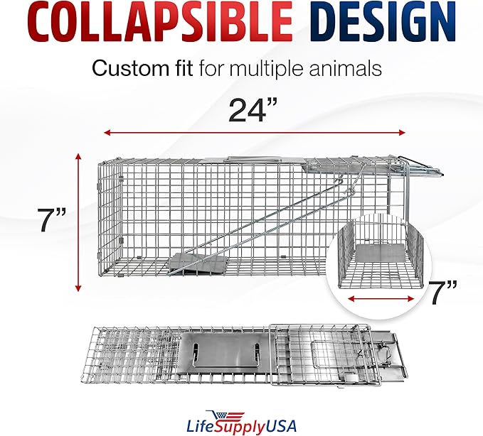 24 Humane Cat Trap for Stray Cats Collapsible Live Animal Cage for Feral Kittens Possum Raccoon Rabbit Armadillo Trap Catch and Release by LifeSupplyUSA