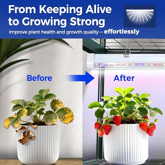 Indoor Greenhouse with Grow Light Ohuhu 4-Tier Mini Green House for Winter - Full Spectrum Greenhouses for Seed Starting Small Portable Green Houses Waterproof PVC Cover &amp Adjustable Shelves