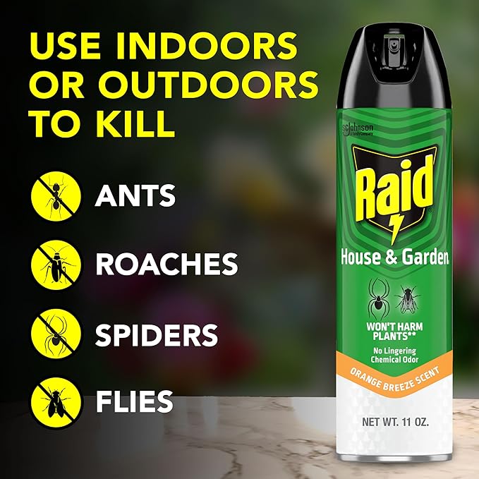 Raid House &amp Garden Insect Killer Spray Orange Scent 11 Ounce (Pack of 4)