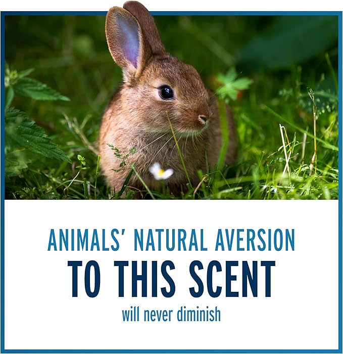 Liquid Fence Deer And Rabbit Repellent Granular 2 Pounds Apply Year-Round