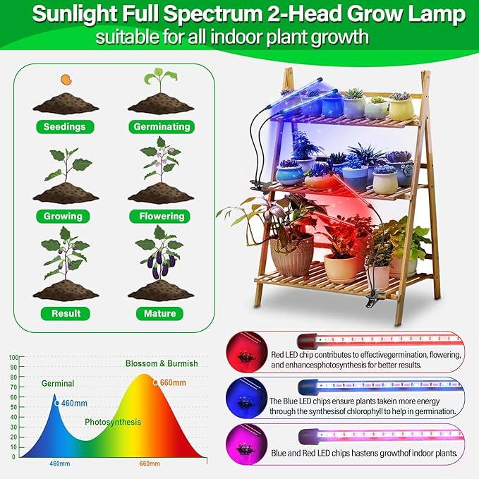 AUXTINGS LED Grow Lights for Indoor PlantsFull Spectrum 2 Heads Plant Growing Lamp with 3/6/9H Auto Timer 10 Dimmable Modes &amp 3 Light Settings Seed Starting Grow Lights for Indoor Gardening