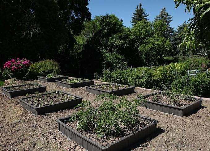 LIFETIME 60065 Raised Garden Bed 4 by 4 Feet 1 Bed
