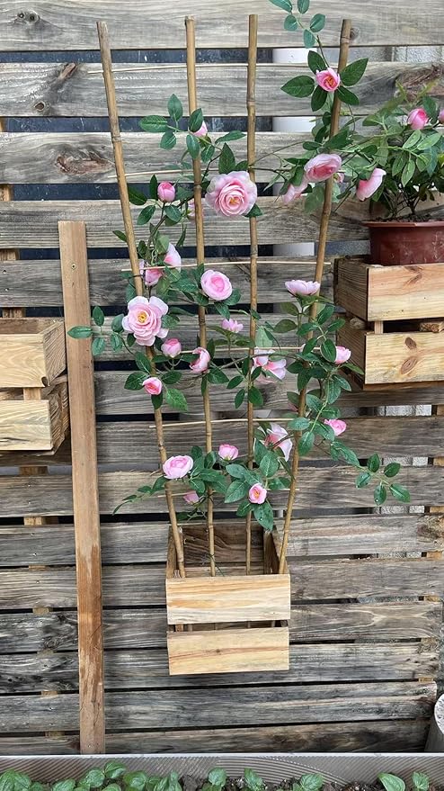 Natural Bamboo Trellis 3Feet3PackFan-Shaped Plant Support Trellis for Outdoor and Indoor Potted Climbing PlantsVegetables Cucumber Tomato Hoya