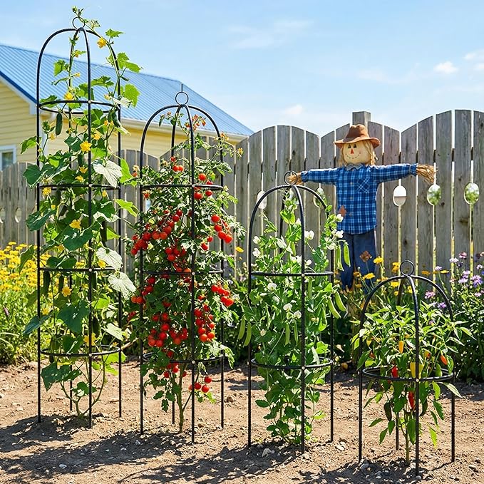 Metal Trellis for Climbing Plants Outdoor 2026 Upgrade 100% Metal with Powder Coating Rose Flowers Grape Pea Cucumber Tomato Cage - 6.3 FT Freestanding Plant Support