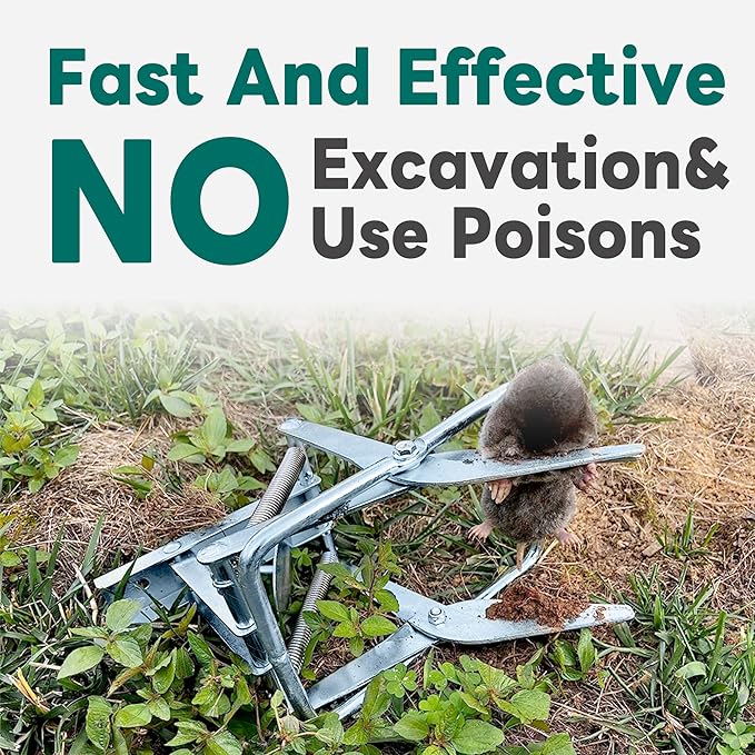 2 Pack Mole TrapsGalvanized Steel Scissor TrapReusable Mole Trap KillerEasy Set Mole Eliminator Trap for Lawns