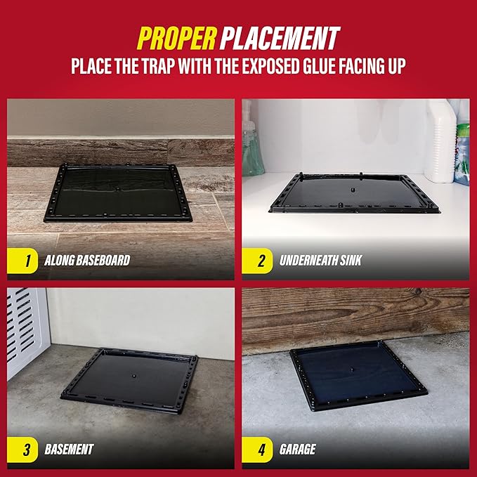 Catchmaster Jumbo Rat &amp Mouse Glue Traps 6Pk Large Bulk Glue Board Rat &amp Mouse Traps Indoor for Home Adhesive Plastic Tray for Snakes Mice &amp Spiders Pest Control for House &amp Garag