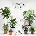Grow Light 5500K (320 Watts Equiv) White Full Spectrum Plant Growing Lamp for Indoor PlantsLED Bulbs Replaceable