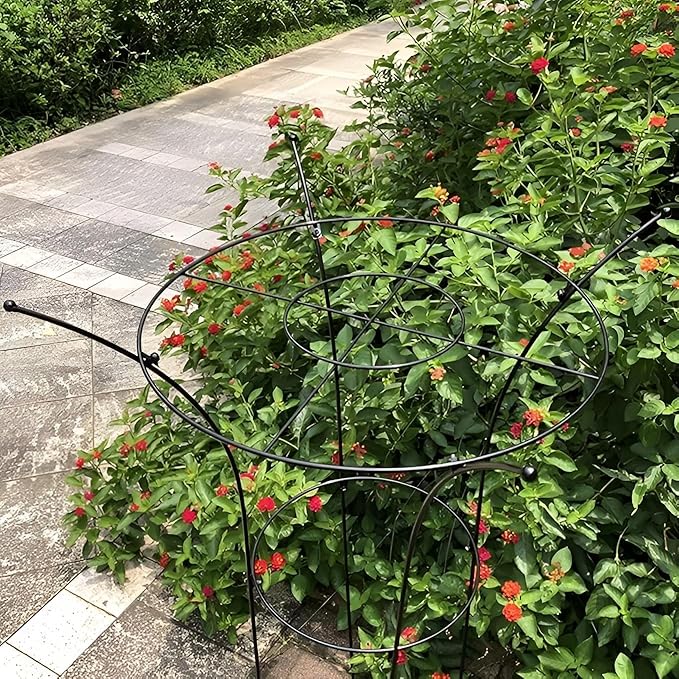 Peony Cage Plant Support Metal Garden Trellis for Climbing Plants Decoration Gardening Trellis for Pot Plant Vegetables Vines Flowers Anti-Rust(78x36cm/30.7x14.2in)