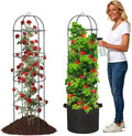Large Trellis Garden Obelisk Trellis for Climbing Plants Outdoor 55 Metal Trellises for Tomato Cucumber Clematis Rose Vine Support Heavy Duty Round Cage Stand for Grow Bag Raised Bed Yard 2 Pack