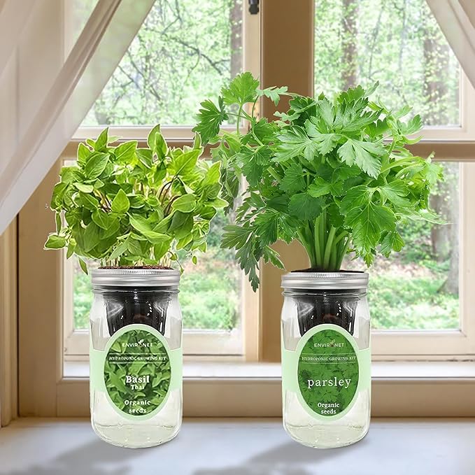 2-Pack Hydroponic Mason Jar Herb Garden Kit Indoor Herb Garden Self-Watering Starter Kit (Thai BasilParsley)