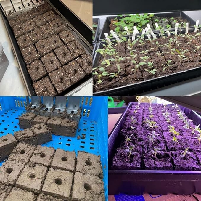 Soil Blocker with A Seedling Tray 8 Cell 2 Inch Soil Block Maker Handheld Block Maker with 3 Sizes Seed Pins Garden Blocking Tools for Seedings Cuttings Greenhouses