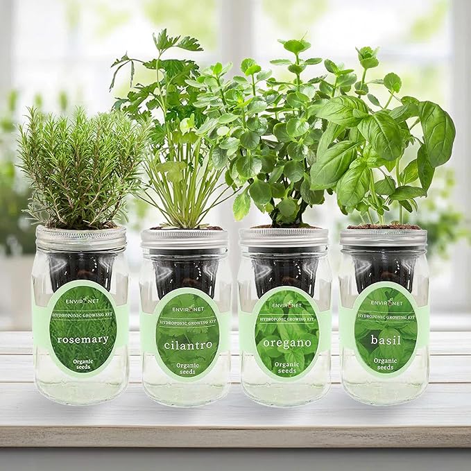 Hydroponic Mason Jar Organic Herb Seed Starter Kits - Mediterranean Herb Mix Growing Kits Windowsill Herb Garden Gardening Gift (Rosemary Cilantro Oregano Basil)