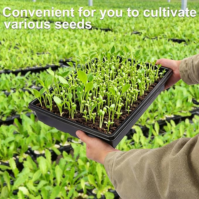 14 Pack Seed Starter Trays 15.3 x 11.4 inches Microgreens Growing Trays with Bottom for Germination Hydroponic &amp Sprouting Plant Trays for Garden Wheatgrass