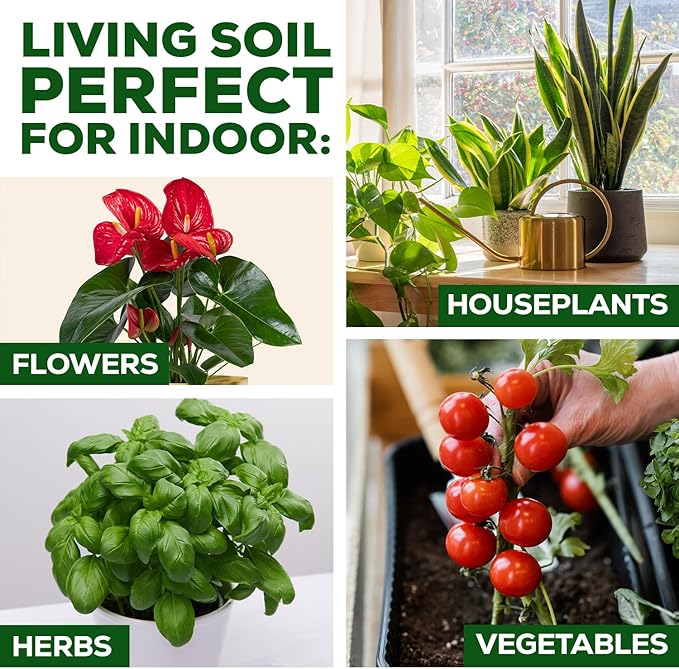 Organic Potting Soil for Indoor Plants. Boost House Plant Growth for Monstera Fiddle Leaf Money Tree Pothos Snake Plant Aroid Flowers Herbs Veggies &amp More Smart Grower 3 LB Ready to Plan