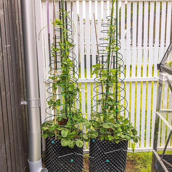 2 Sets Spiral Plant Support Stakes Indoor Outdoor Adjustable Metal Garden Trellis for Climbing Plants Support for Potted Vegetables Flowers Peas