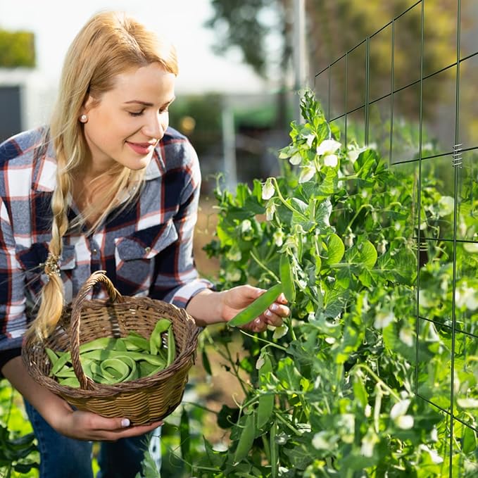 DOEWORKS Cucumber Trellis 56 High Foldable A Frame Garden Trellis 2 Pack Plant Support for Climbing Cucumber Beans Tomatoes Flowers Green