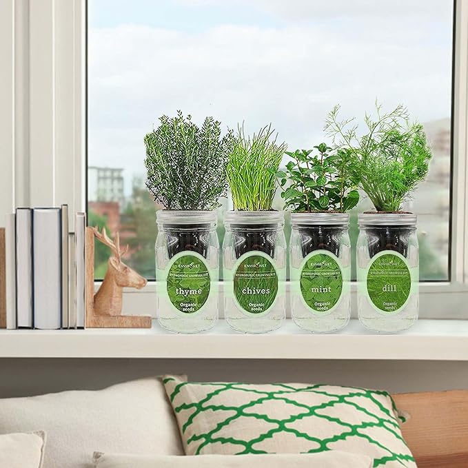 Hydroponic Herb Growing Kit Set Self-Watering Mason Jar Herb Garden Starter Kit Indoor New Christmas Gift for Mom (MintThymeChives&ampDill)