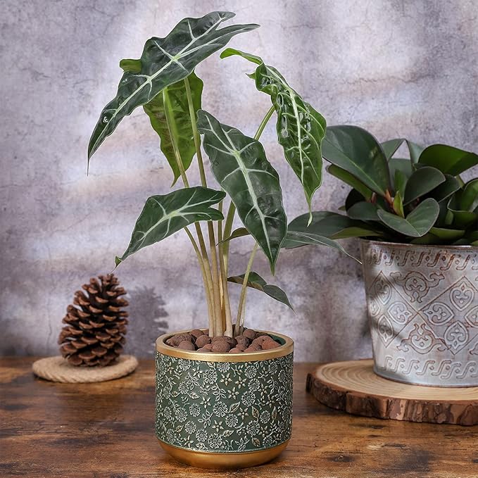 6 +4.4 Inch Cement Planter Decorative Pots with Drainage Hole for All House Plants Succulents Flowers and Cactus (Green)