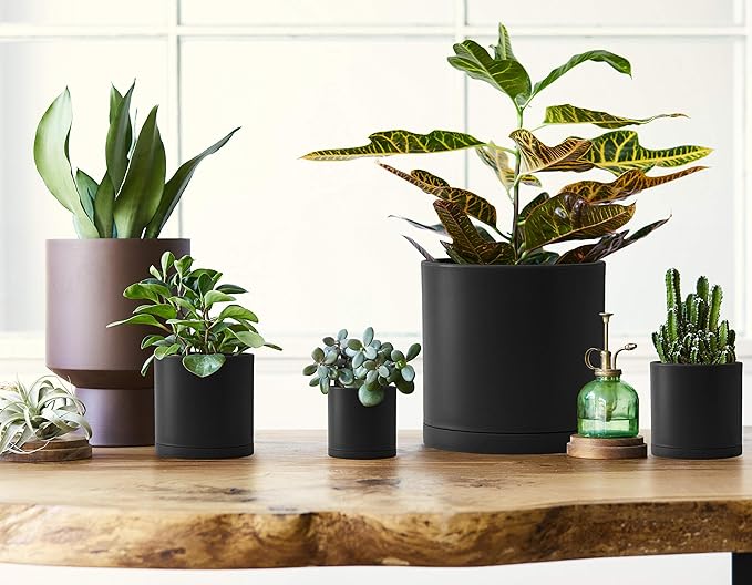 D'vine Dev 10 Pack Plastic Plant Pots for Plants 6.5/6/5.5/5/4.5/4/3.5/3/2.5/2 Inch Indoor Planters Cylindrical Succulent Pot with Drainage Hole and Saucer Black 74-S-B