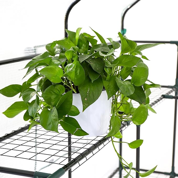 SUNGIFT Greenhouse for Outdoors Walk-in Greenhouses 56 x 85 x 77 Inch Portable Green House 3 Tiers 20 Shelves for Garden Patio Backyard White