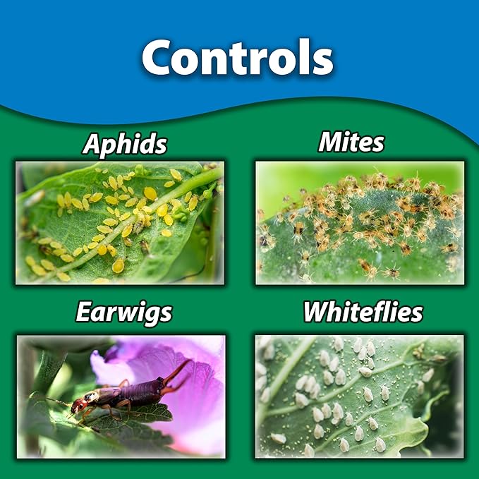 Monterey Insecticidal Soap RTU Bundled with Garden Measure Spoon – OMRI Listed Organic Pest Control for Aphids Mites Thrips &amp More – Controls Powdery Mildew - 32 Fluid oz