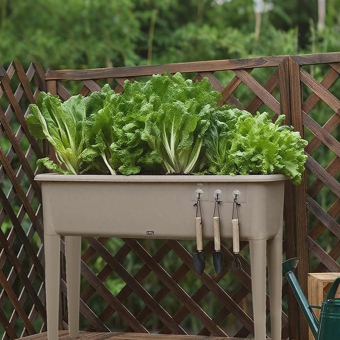 13.2 Gallon Self Watering Raised Garden Bed with or Without Transparent Ventilation Lid Greenhouse Planter Box with Legs for Indoor/Outdoor Use Ideal for Herbs &amp Vegetables (Coffee Without Lid)