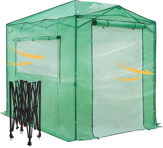 EAGLE PEAK 8x6 Portable Walk in Greenhouse Pop Up Indoor Outdoor Greenhouse Green House Kit with Zippered Roll-Up Doors and Windows + Mesh Lined Door PE Cover Clear/Green