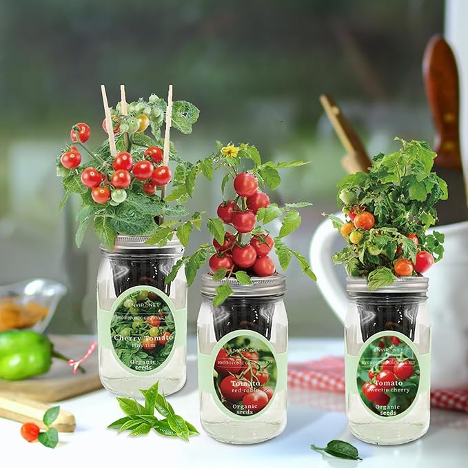 Hydroponic Mason Jar Indoor Garden Organic Seed Starter Kits - Tomato Trio Garden Growing Kits Gardening Gift (Red Robin Tomato Cherry Tomato - Tiny Tim Sweetie Cherry Tomato)
